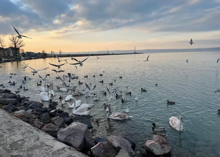 Dorina Wellness Siófok